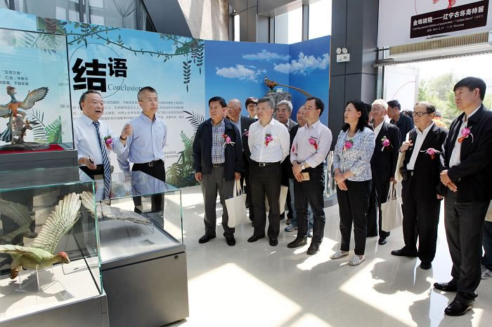 ���������ﲩ��ݾ��С�����������������չ