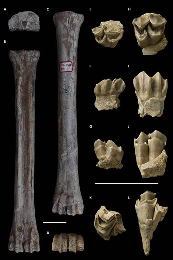 ظ߼ɽص㳤¹໯ʯͼ