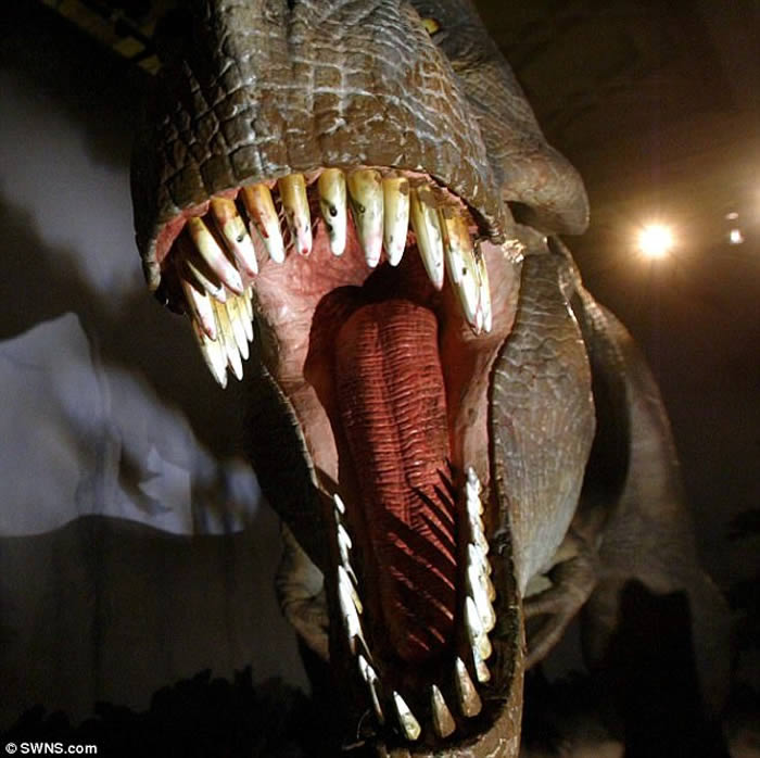 ����������ѧ���о����ְ�����ҧ������ �൱��3��С��������������