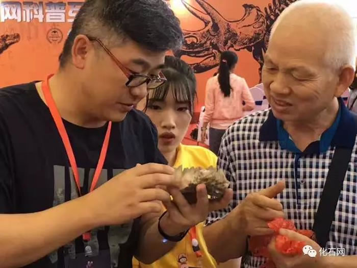 �ֳ���ʯ����������