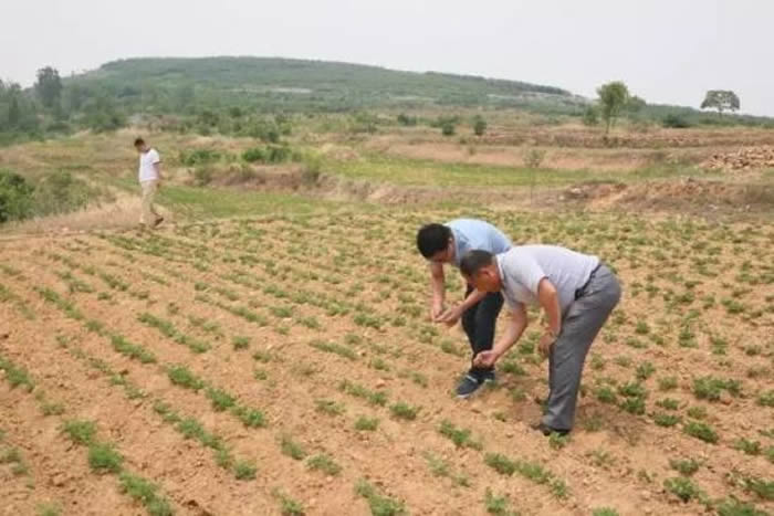 ����ѧ���������ڷ�����Ԭ����������ļ��׵ظ����Ϸ�����ǧ����ʯ��