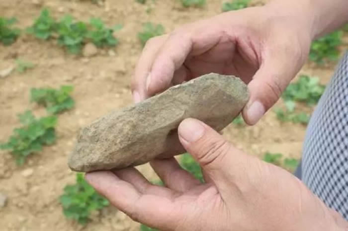 ����ѧ���������ڷ�����Ԭ����������ļ��׵ظ����Ϸ�����ǧ����ʯ��