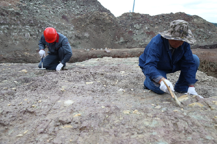 �ھ��ֳ� ����� ��