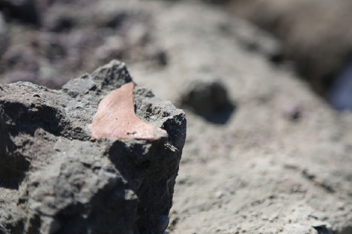 �·��ֵ�ʳ����������ݻ�ʯ ����� ��