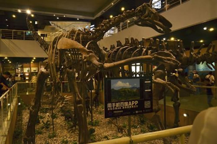 逛中国古动物馆时可以随时用手机百度APP召唤AR恐龙