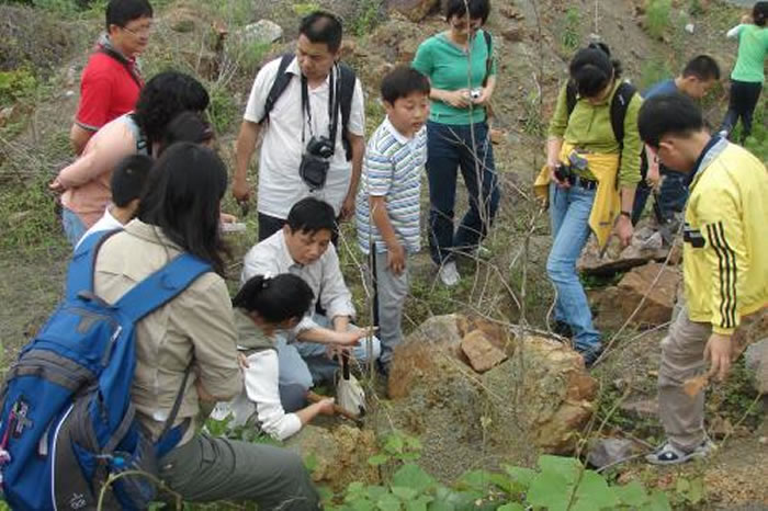 ��ΰ����Ұ����֯����