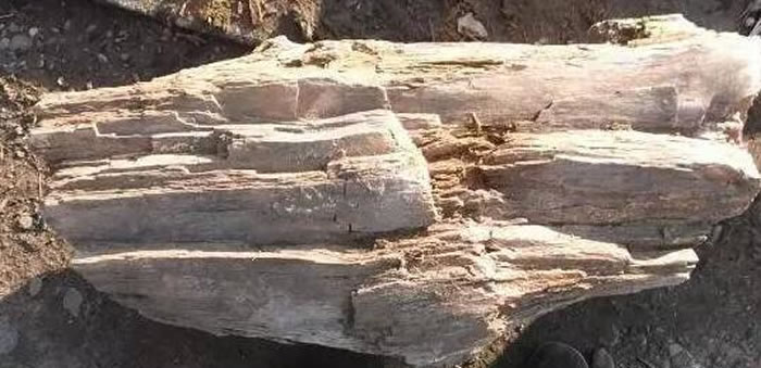 ������ص㻯ʯ���ص�����ش���