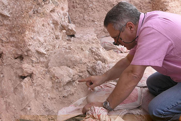 古生物学家Jean-Jacques Hublin最先发现Jebel Irhoud地区的这些智人化石。Hublin及其同事认为这些化石代表了智人最初的进化阶段。研