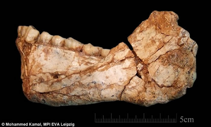 Ħ��緢������ϵ����˻�ʯ