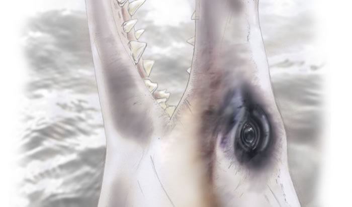 �������������ϵĲ����ǽ�����Ϊ��ȫˮ�������ų��ֵ�