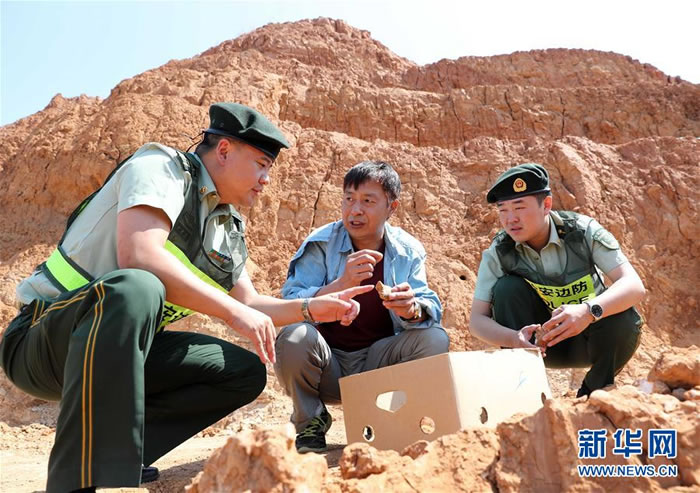 ������߷��ɳ����ٱ���������ɽ��Զ�������ﻯʯ��