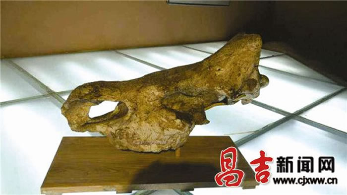 չ����չ���ľ��Լ1000����ǰ��Ϭţͷ�ǻ�ʯ