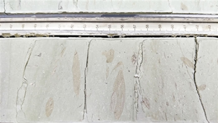 �Ϻ�����������о�ϵ��ż���ʯ �Ÿ��� ��