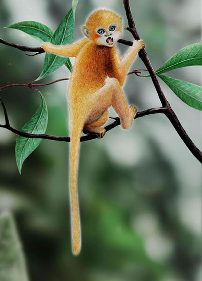 ɽ��ԫ�������ʼ�������ڣ�Լ4000����ǰ��������Գ��ԭͼ��ʷ����棩