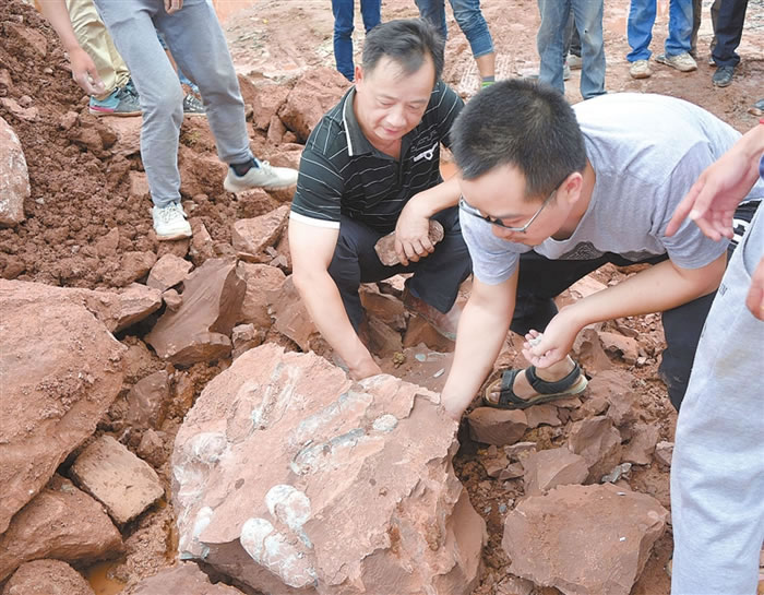 ����ʡ�����о��������ֿ�������ʯ