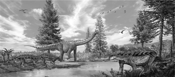 С���ӵ������Ƽ���������������ͽ�ɽ����