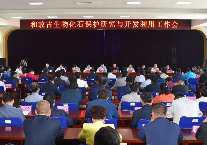 �������ٿ������ﻯʯ�����о��뿪�����ù�����