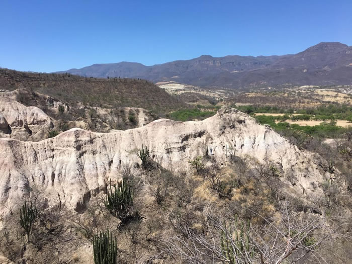 ī�������Ƥ����صĻ�ʯ��ַ���Ŵ�ˮ̡�����ݾ��������﷢�ֵġ� PHOTOGRAPH BY JACK TSENG, UNIVERSITY AT BUFFALO