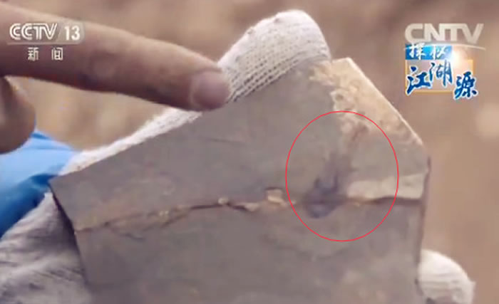 ������໯ʯ