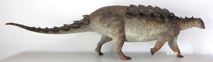 丽水浙江龙复原模型