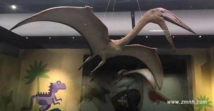 临海浙江翼龙复原模型