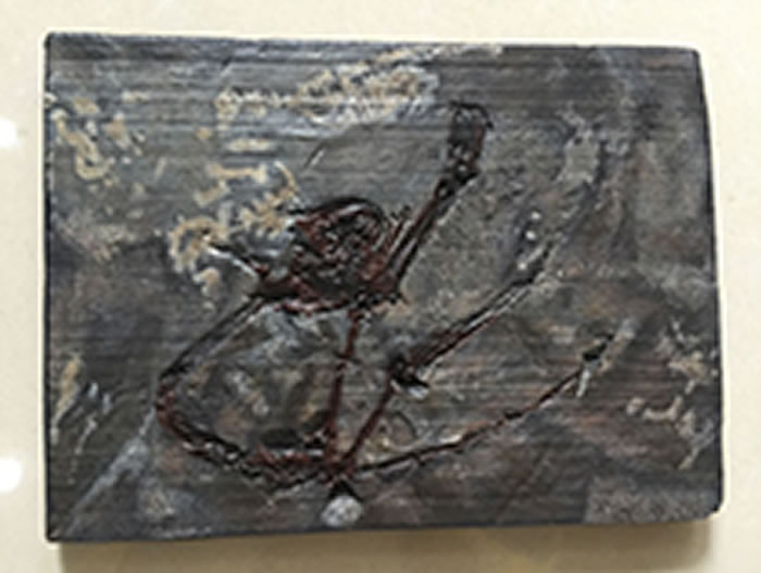 阿喀琉斯基猴(骨架模型)