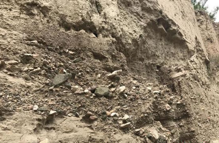 �ӵ���������Կ������������ַȺ�ĵز���ɷḻ���е������ɳ�����е��������ʯ��Ҳ���ֳ�����׺�ɣ�������仯�� �ŷ� ��