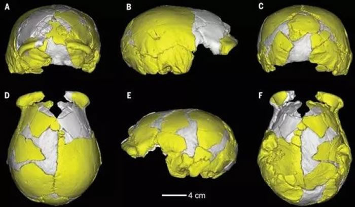 �������ˡ��������й��������������ִ��˵�ֱ������