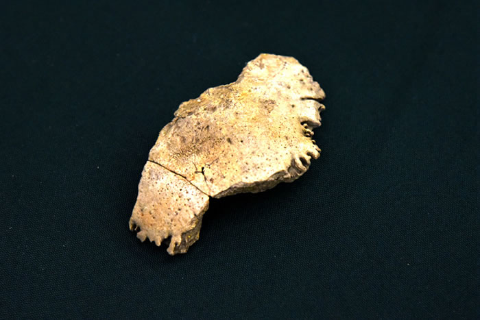 ������ʯ������