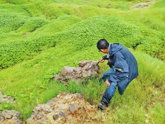 ר�Ҷ��Ϻ���Գ��ַ����״���е���ʱ����Ұ�ݴ��з����˳�Ƭ�Ļ�ʯ��¶����