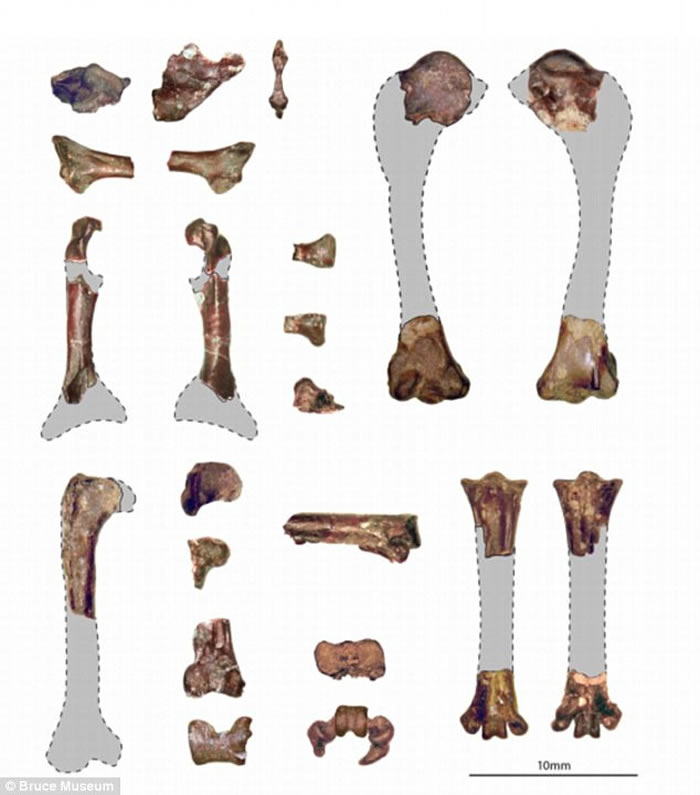 ������ī�����ݷ���6200����ǰ����ʯ ���������������������Ѹ�����������