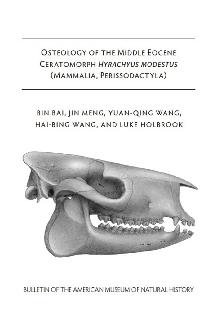 ����ϬHyrachyus modestus��AMNH FM 12664��ͷ�ǲ��ӣ�Nicole Wong���ƣ�