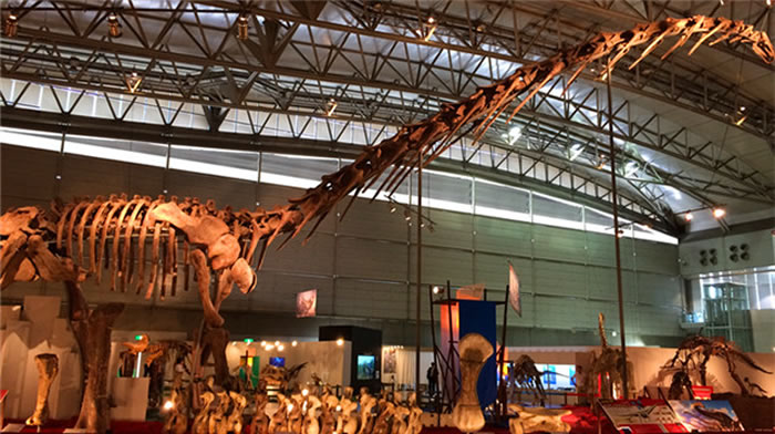 ���޴����չ����������ʡ���ʲ���ݹݲؿ�����ʯ���ձ�ǧҶչ��