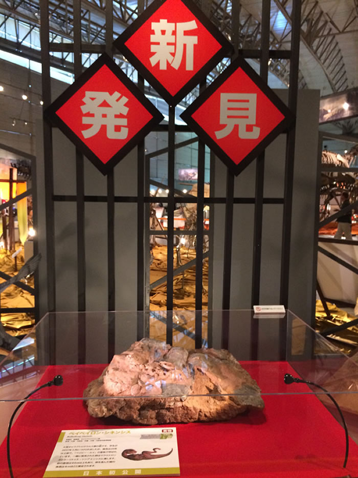 ���޴����չ����������ʡ���ʲ���ݹݲؿ�����ʯ���ձ�ǧҶչ��