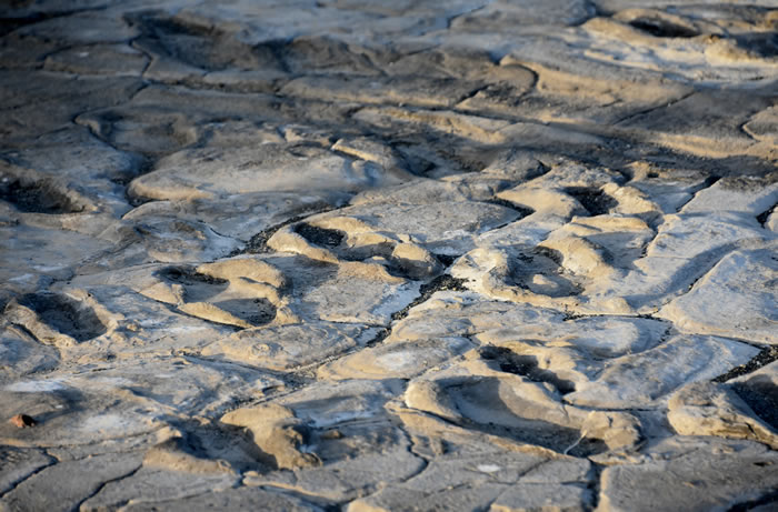 坦桑尼亚的伦盖伊火山即将喷发 威胁古人类脚印化石遗迹