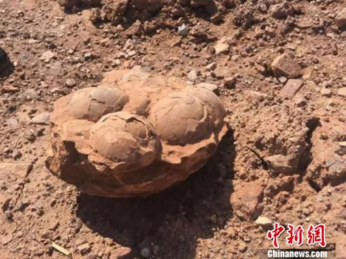 �㽭��ɽ����5ö��������ʯ