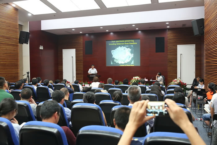 ��������ʯ�о���չʾ����ѧ�����ֻ��ߡ�����˿·����ʯ��̳���㽭��Ȼ������ٿ�