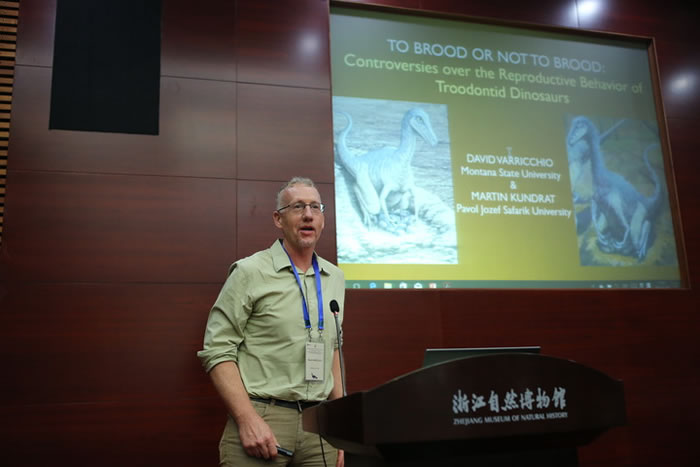 ��������ʯ�о���չʾ����ѧ�����ֻ��ߡ�����˿·����ʯ��̳���㽭��Ȼ������ٿ�