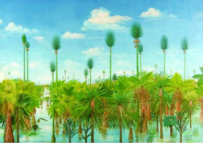 ���ɹ��ڴ�ú�����������úֲ�����۸�ԭͼ