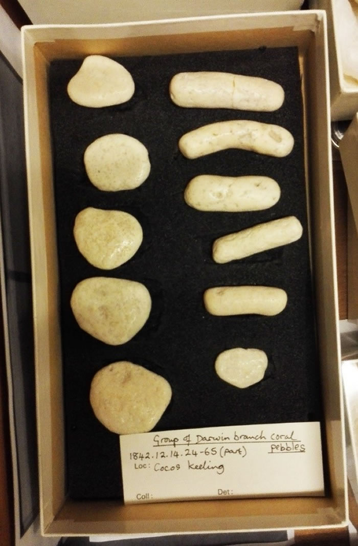 �׶���Ȼ��ʷ������ղصĴ�������ɼ�̦޺����Ʒ���������Ϊ��ɺ��