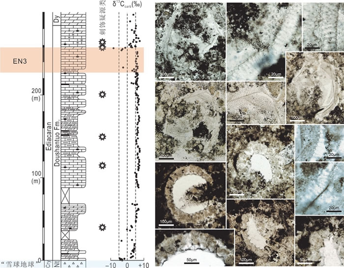 �ز���״ͼ�ͻ�ʯ��Ƭ