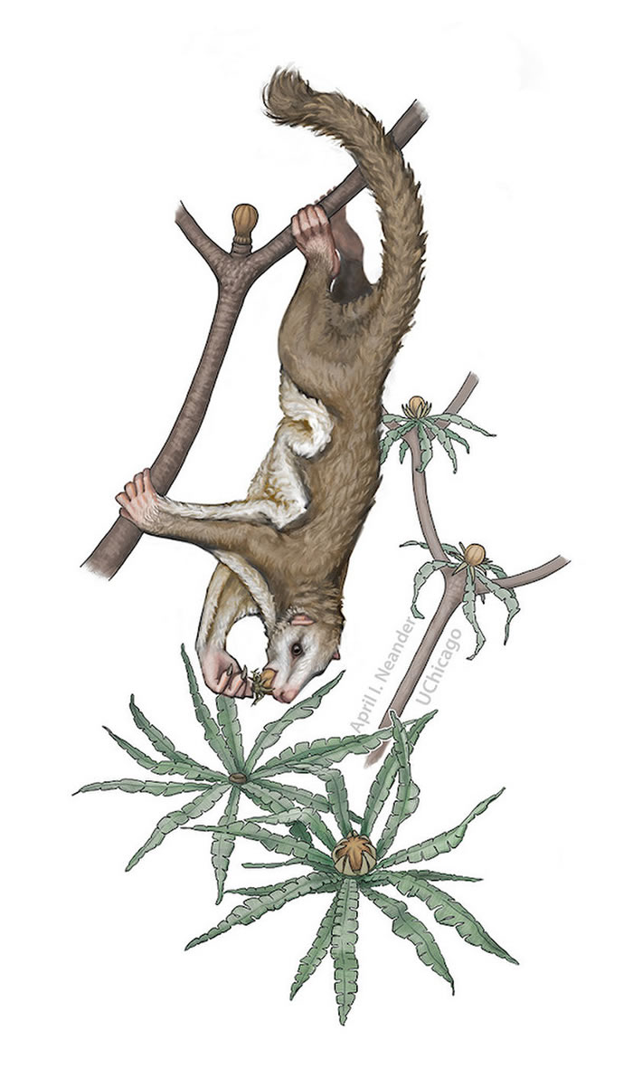 �й�����٪�޼����ͻ����ಸ�鶯�ﻯʯ