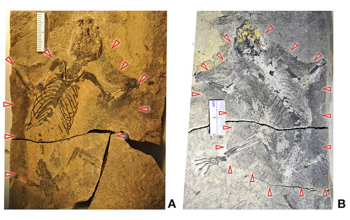 �й�����٪�޼����ͻ����ಸ�鶯�ﻯʯ