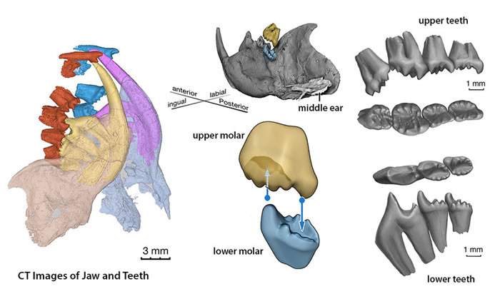 �й�����٪�޼����ͻ����ಸ�鶯�ﻯʯ