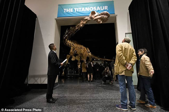 ����͢���������Ƿ�����������������������̩̹��Patagotitan mayorum