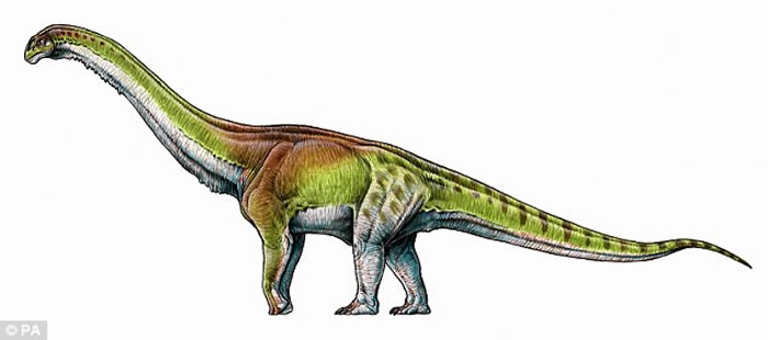 ����͢���������Ƿ�����������������������̩̹��Patagotitan mayorum