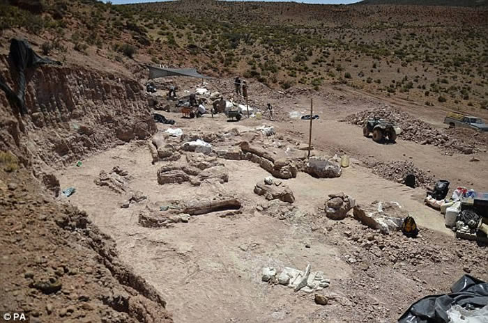 ����͢���������Ƿ�����������������������̩̹��Patagotitan mayorum