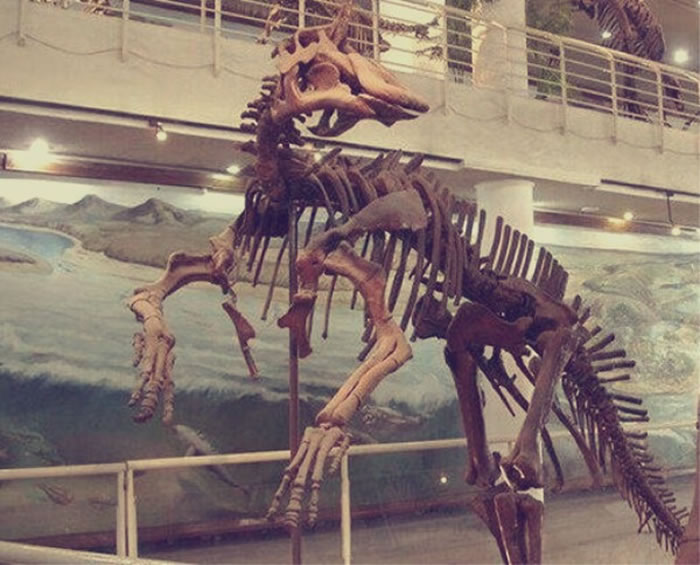 �������ֵĿ���Ϊɶ�С��ൺ����