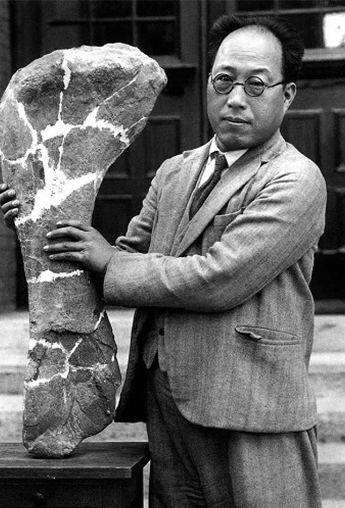 ���ӽ�����