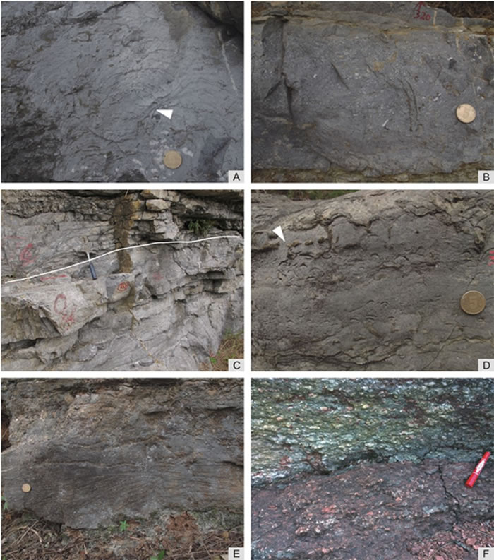 Ұ����Ƭ����A���ͣ�B���ֱ��Ǻ컨԰���΢�����Һ���м���ң�������ûǰ��������C��ʾ����̨����·��컨԰��Ľ��ߣ����ߣ�����D������E���ͣ�F������̨����û���